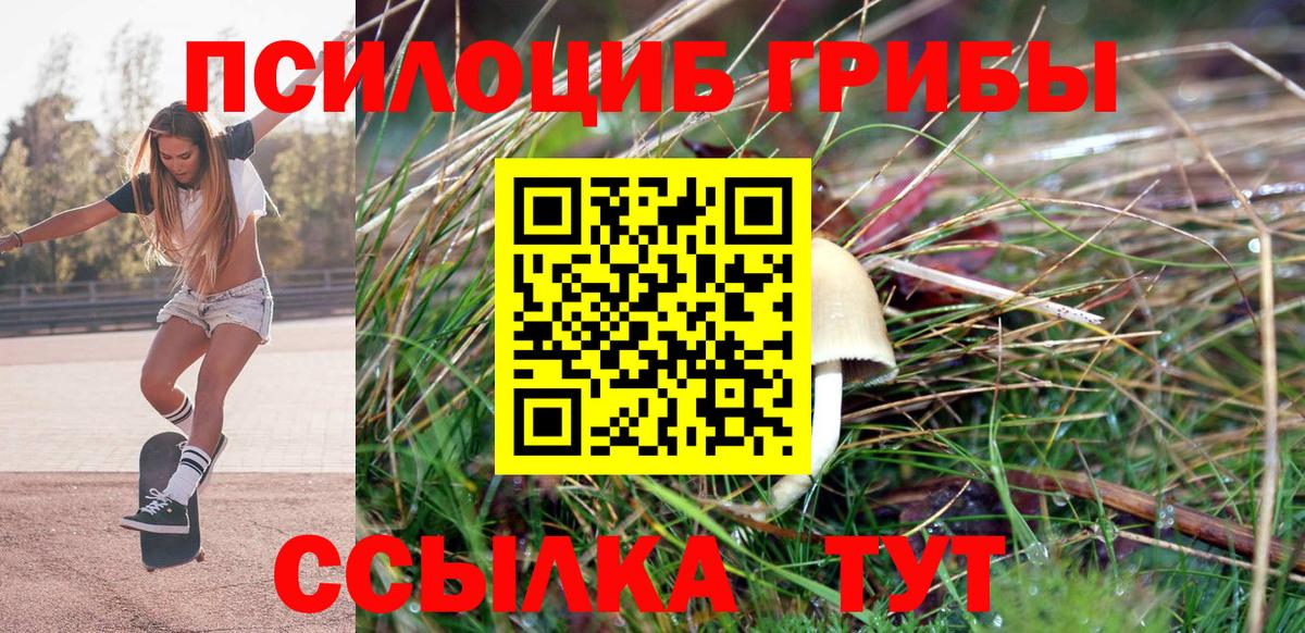 Псилоцибиновые грибы MAGIC MUSHROOMS Чита