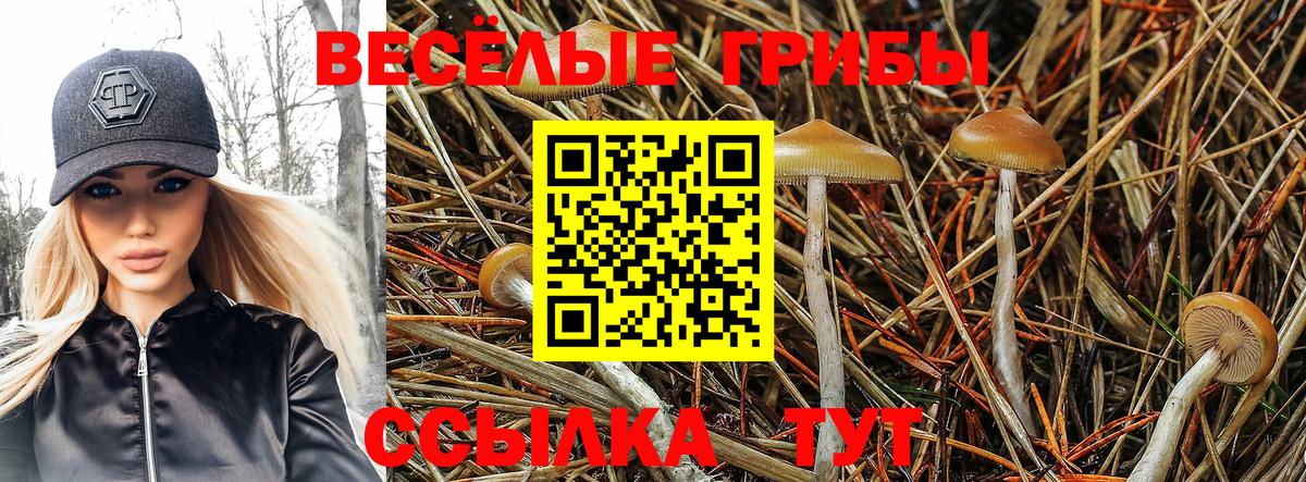 Чита  сколько стоит  Псилоцибиновые грибы прущие грибы  Вход с VPN  Псилоцибиновые грибы мицелий 